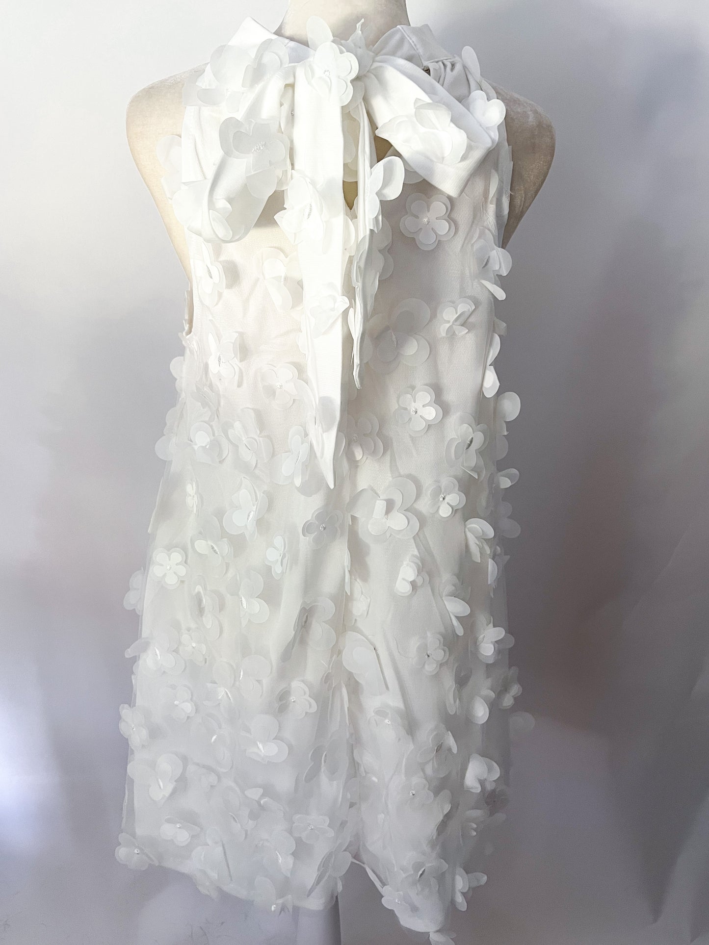 DAYLIGHT DRESS